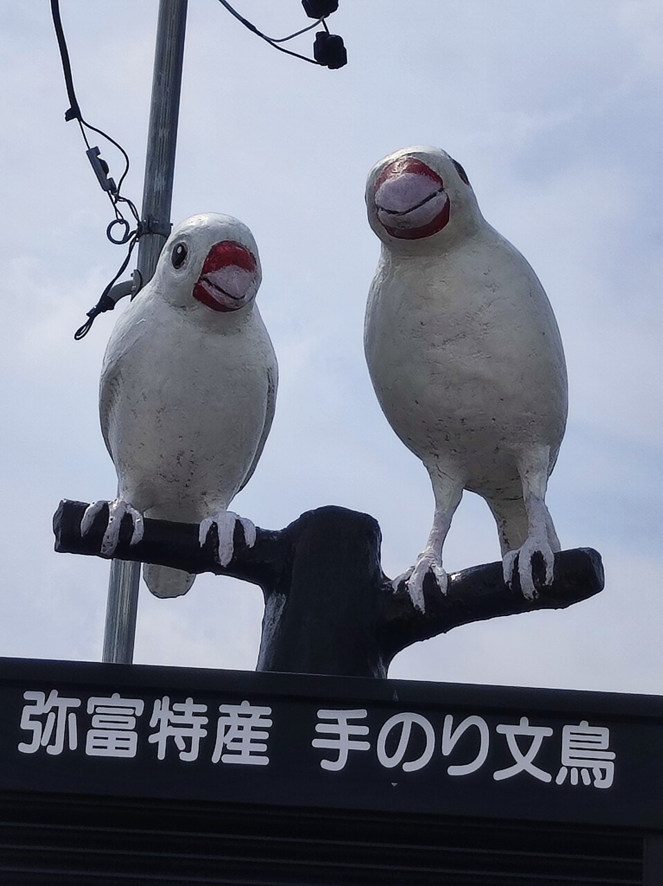 白文鳥 : カズナル ～鳥達の襲撃