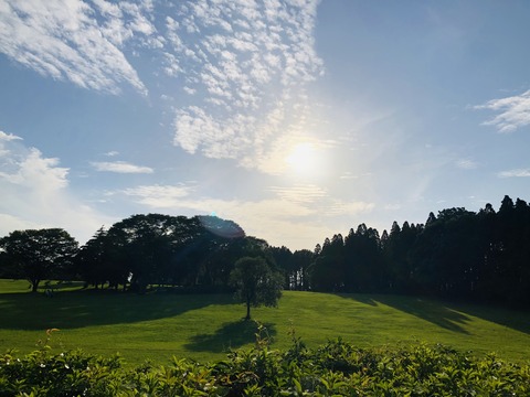 EA025A39-5723-45A9-9DA6-140A6B0E92B9