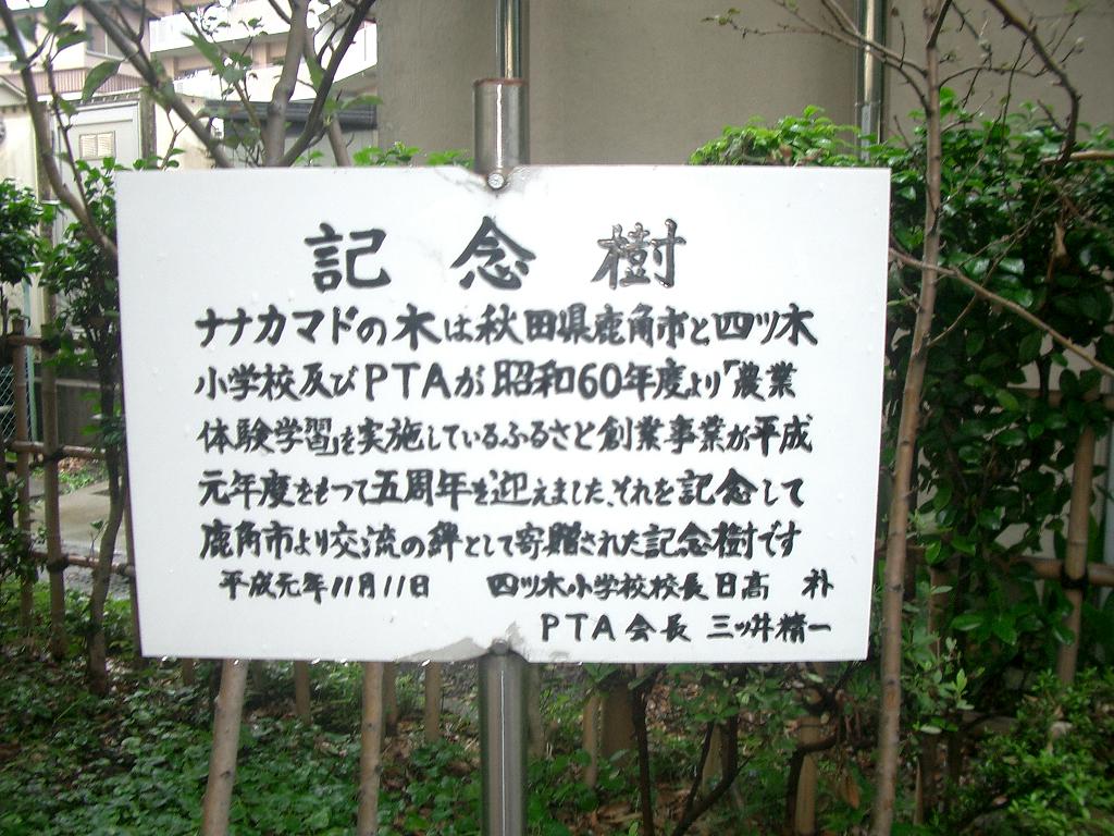 よ つぎ 小学校