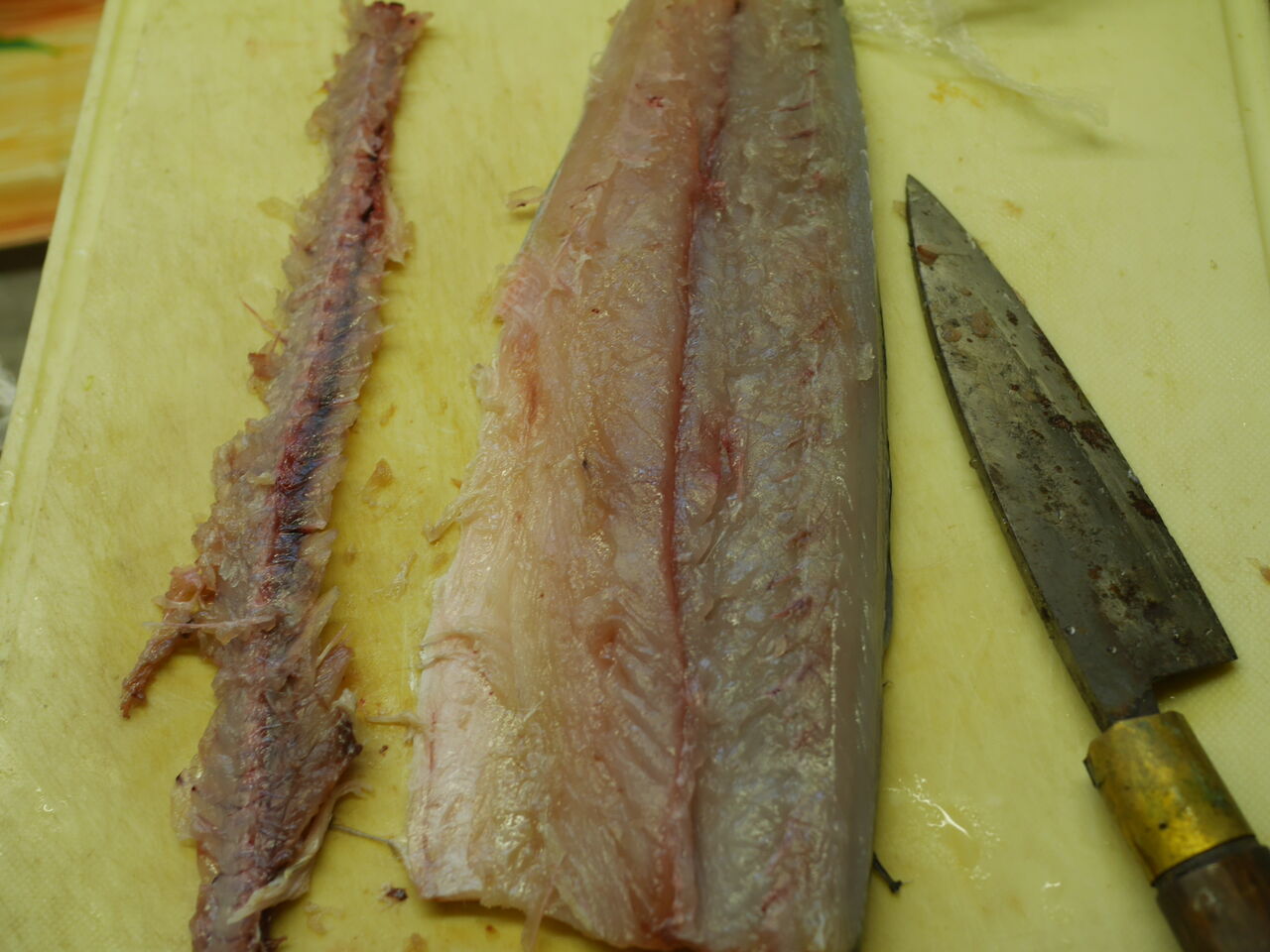 サゴシをゲットし 味噌漬け作り ログハウスに住み 料理 野菜 家具作り