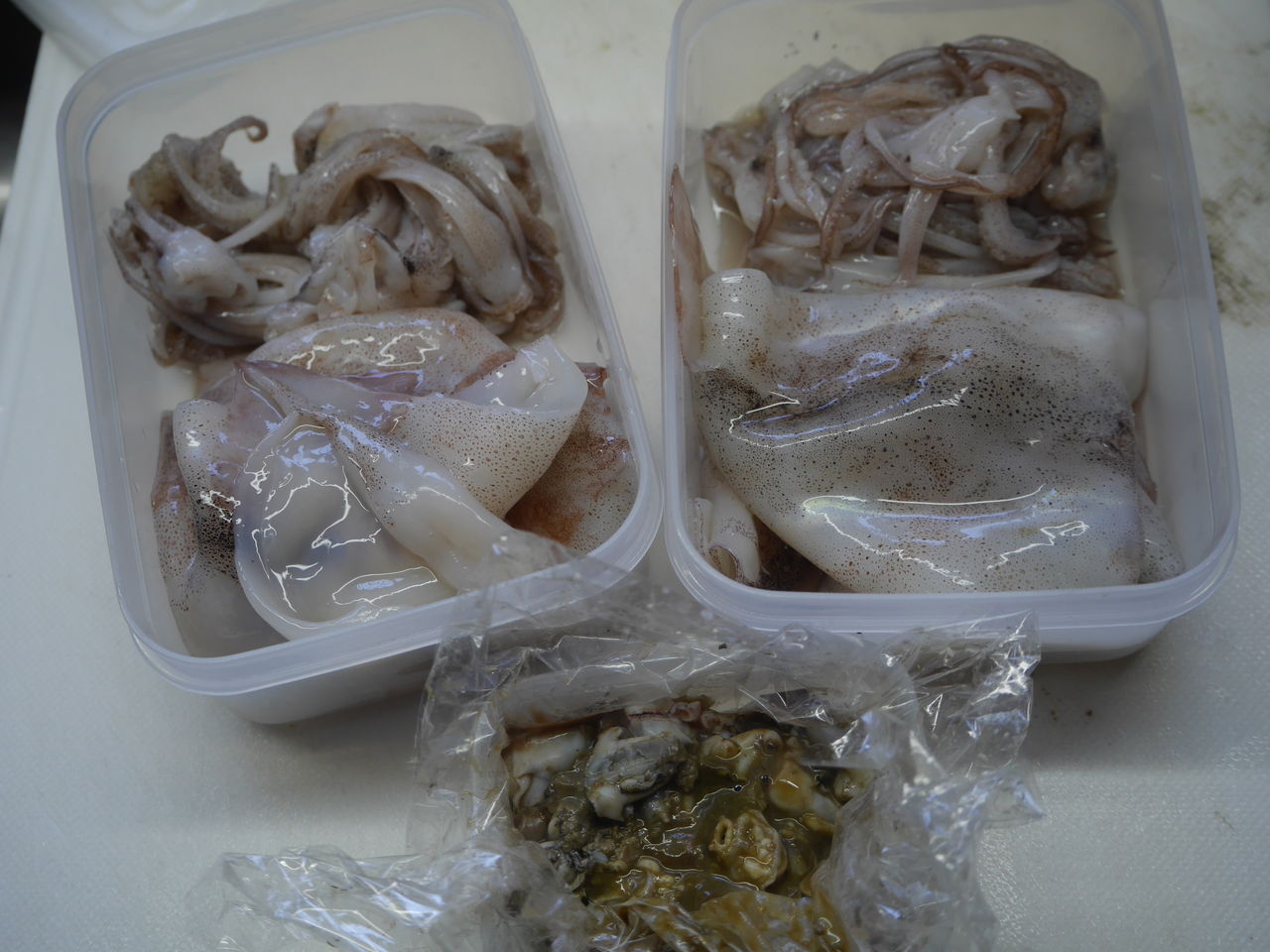 小さいスルメイカが安いのでゲット ログハウスに住み 料理 野菜 家具作り