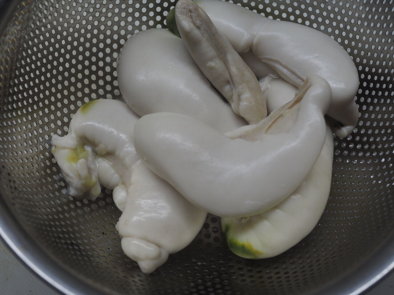タラの芽と鯛の白子の天ぷら ログハウスに住み 料理 野菜 家具作り タラの芽と鯛の白子の天ぷら ログハウスに住み 料理 野菜 家具作り