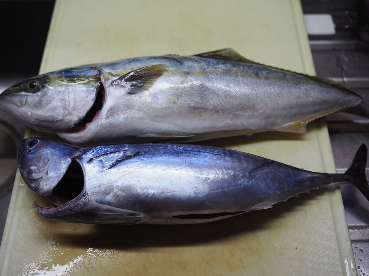 鰹とハマチをいただき ご近所さん会 開催 ログハウスに住み 料理 野菜 家具作り