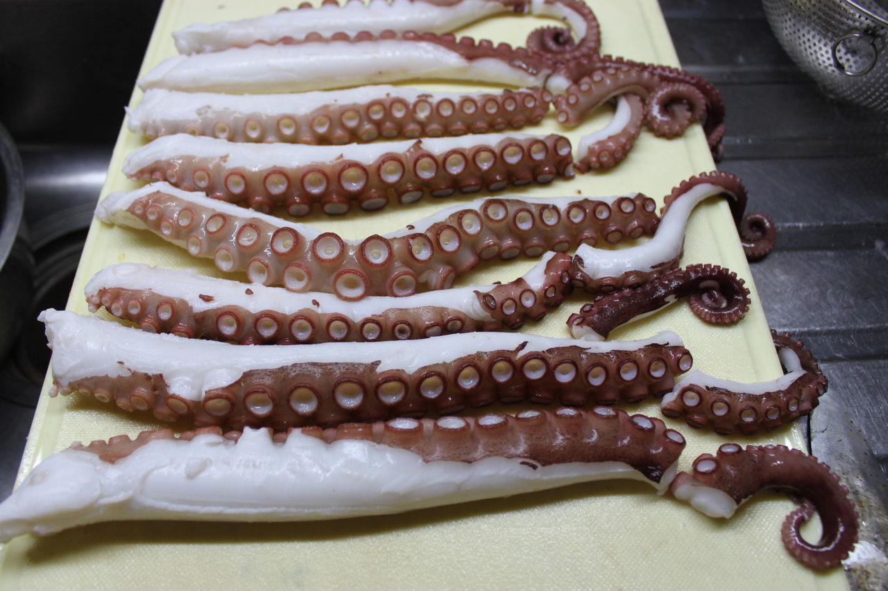 蛸 たこ をさばく ログハウスに住み 料理 野菜 家具作り 蛸 たこ をさばく ログハウスに住み 料理 野菜 家具作り