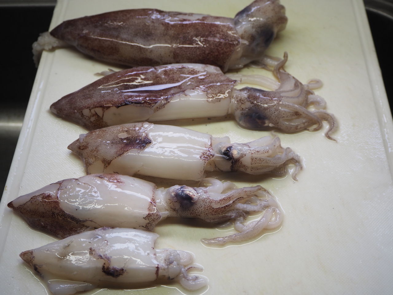 赤イカの一夜干し ログハウスに住み 料理 野菜 家具作り 赤イカの一夜干し ログハウスに住み 料理 野菜 家具作り