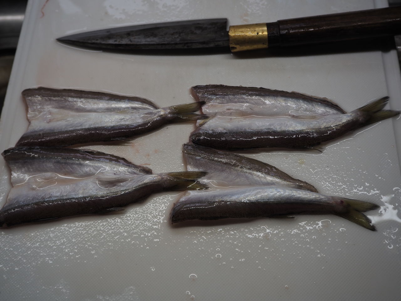 いただいたカマスとイワシで その１ カマスの干物 天ぷら ログハウスに住み 料理 野菜 家具作り