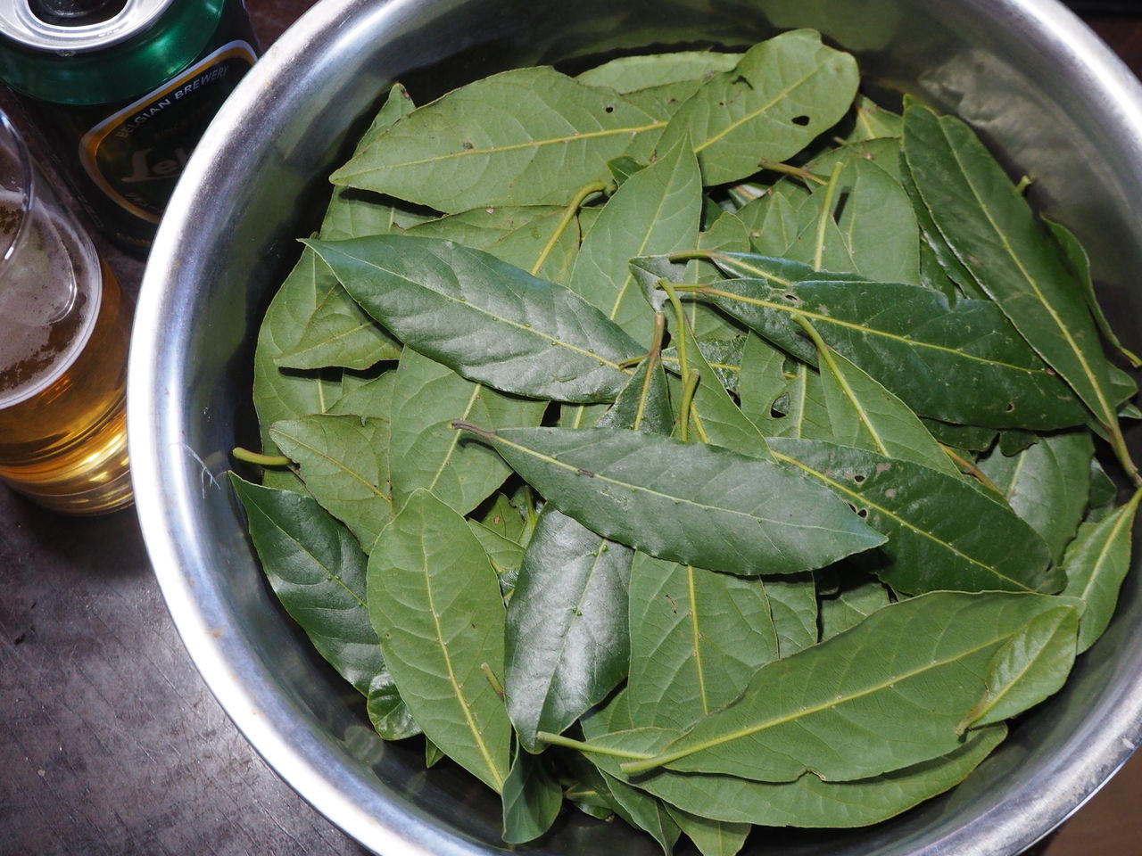 一年分以上のローレル ローリエ いただきました ログハウスに住み 料理 野菜 家具作り 一年分以上のローレル ローリエ いただきました ログハウスに住み 料理 野菜 家具作り