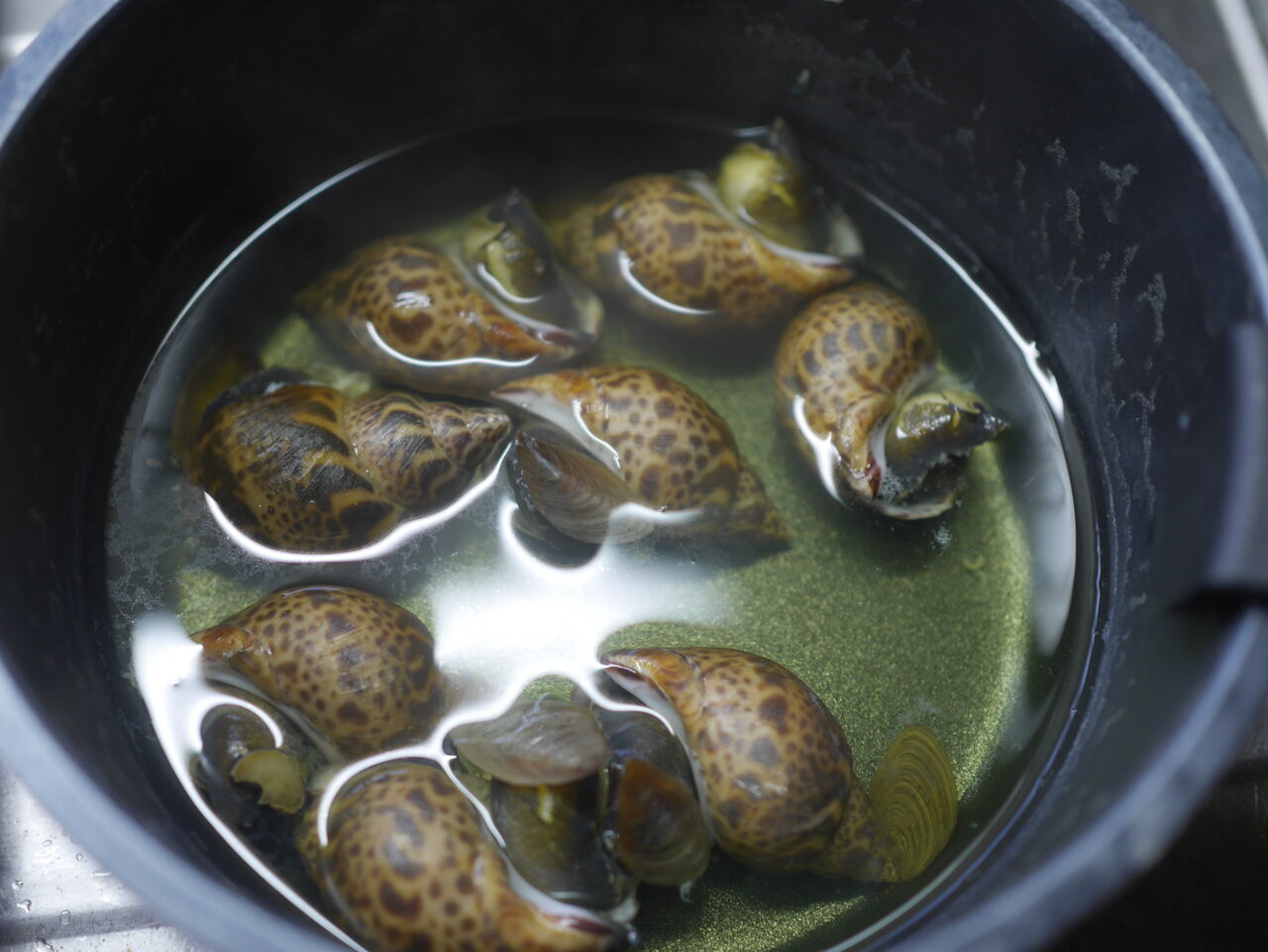 バイ貝の煮つけ ログハウスに住み 料理 野菜 家具作り