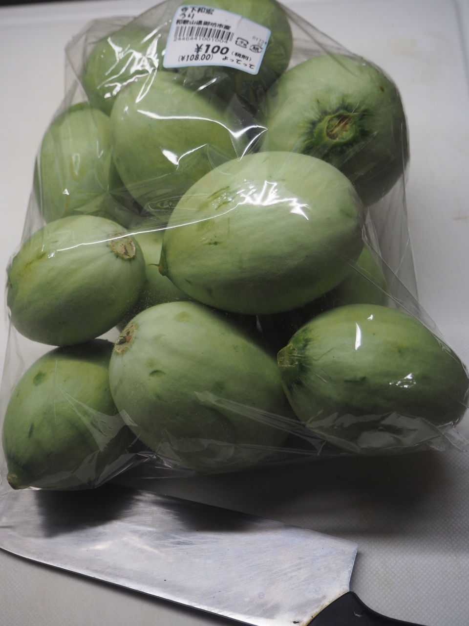 摘果メロンの塩漬け ログハウスに住み 料理 野菜 家具作り