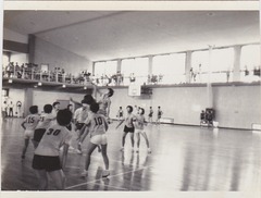3-府下