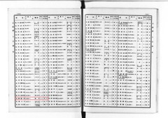 p185【商工資産信用録. 第30回 [大阪府ほか]】昭和４年