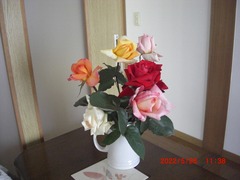 CIMG6595-30