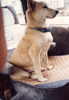 〔丹後①〕0421-5