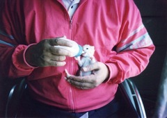 01-［我が家の猫］