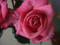 CIMG6962-30