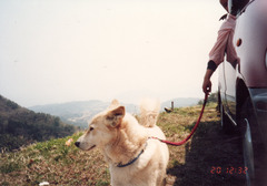 〔丹後①〕0420-13