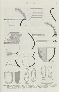 p26【京都大学構内遺跡調査研究年報 昭和56年度】1983