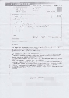 b-p3-病理組織検査報告書