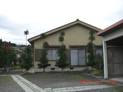 2-我が家の台杉：剪定前