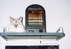 1-キティとトースター