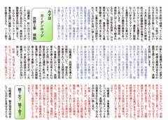 p3［山﨑眞宏］議員活動誌2025.1 No.13