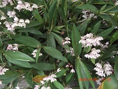CIMG6952-10