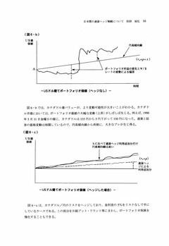 日米間の通貨ヘッジ戦略について_page017