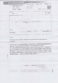 b-p1-病理組織検査報告書