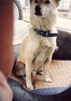 〔丹後①〕0421-8