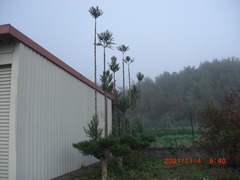 CIMG6451-30