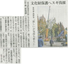 「京丹波町 西岸寺 文化財保護へ 杉伐採」