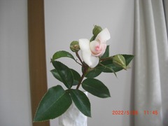 CIMG6599-30
