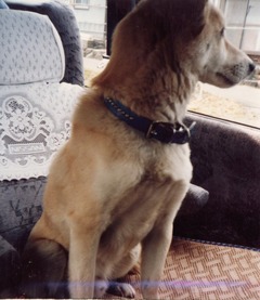 〔丹後①〕0421-9