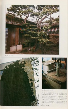 p162【紺碧の空なほ青く】1977