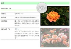 銀賞　ピヤチェーレ　友景　保