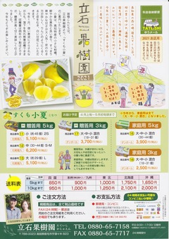 ［すくも小夏］立石果樹園（高知県宿毛市）150