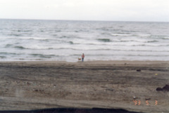 〔丹後①〕930503-14