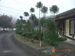 CIMG6453-30