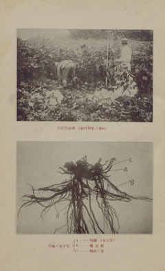 【須知農林パンフレツト. 第2号】昭和9年p4