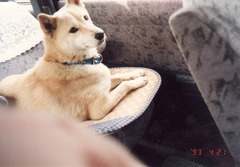 〔丹後①〕0421-6