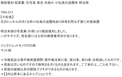 2【小松島】花のトンネルの尽くる所小松島の遊園地あり