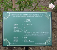 2「友景 保」