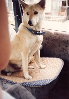 〔丹後①〕0421-4