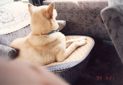 〔丹後①〕0421-7