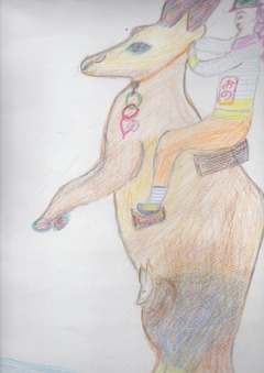 カンガルー①