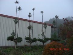 CIMG6452-30