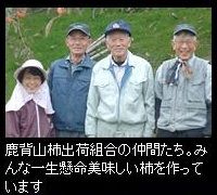 2-2［鹿背山柿出荷組合］