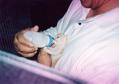 05-［我が家の猫］