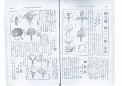 p2【婦女界. 38(5)】昭和3年
