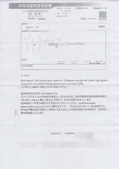b-p2-病理組織検査報告書